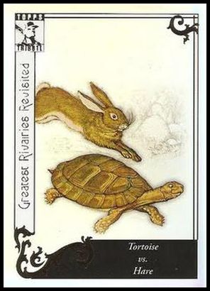 100 Tortoise vs The Hare